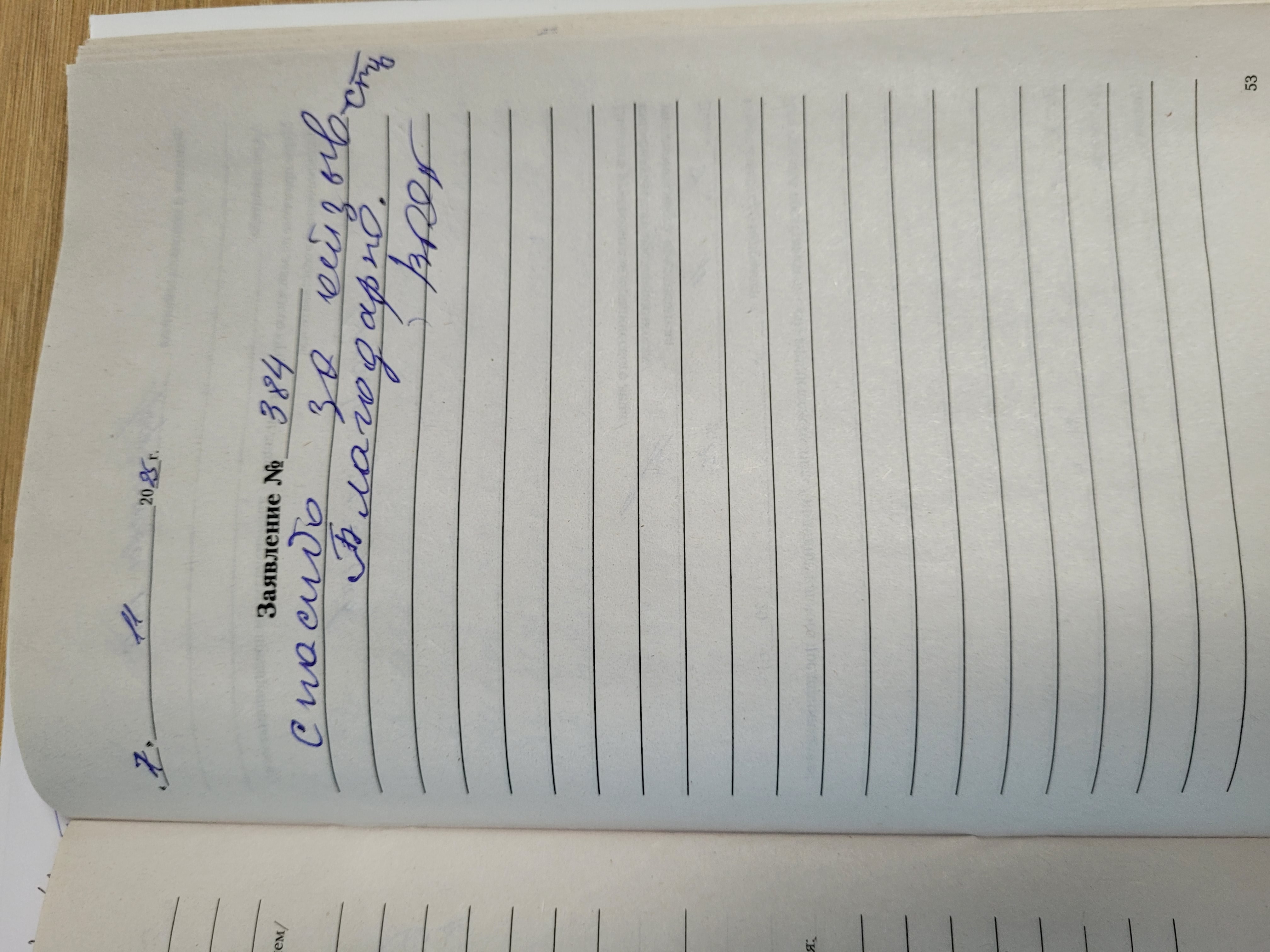 Карманова В.В. Карманова В.В.