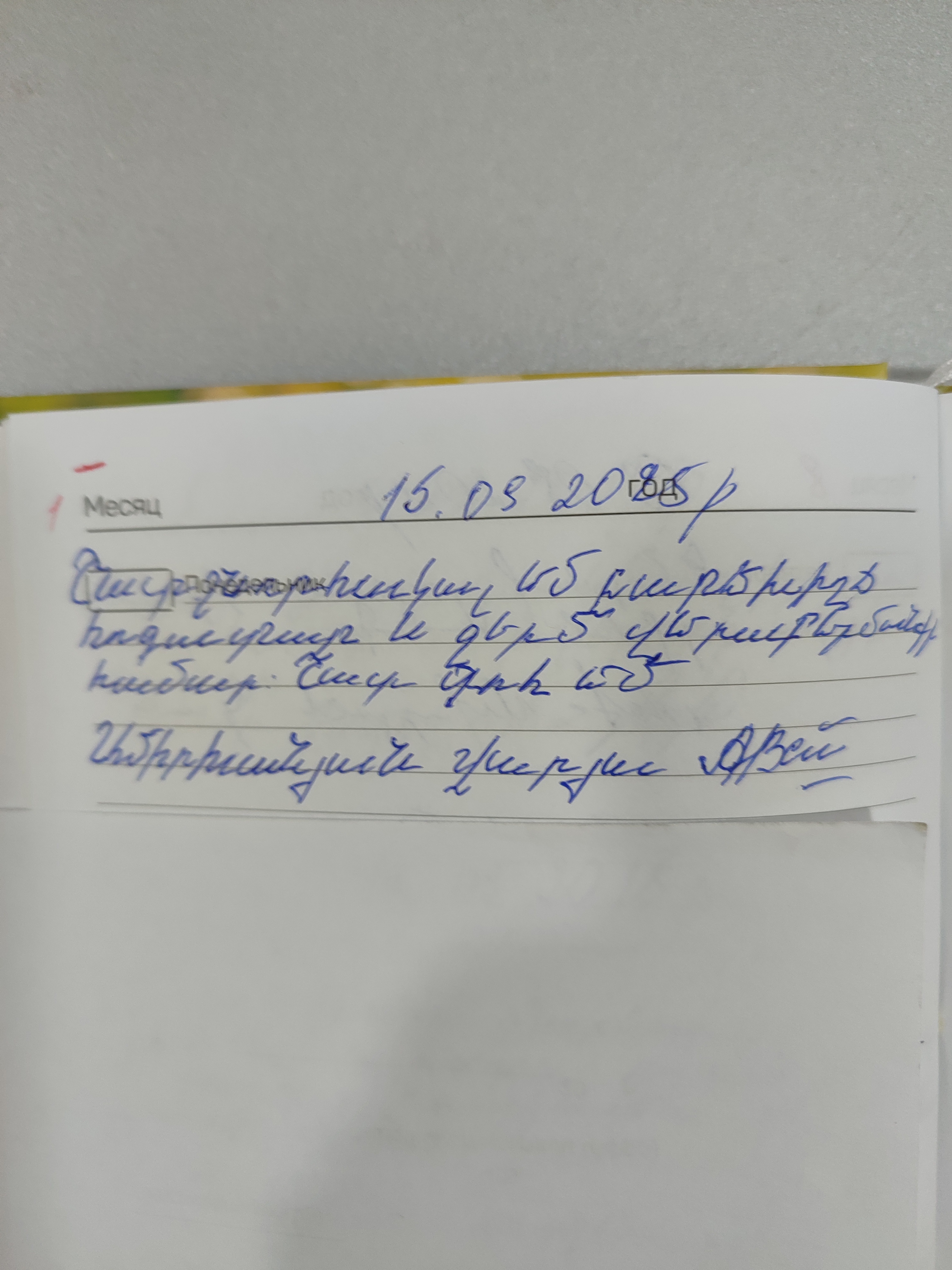 Амирханян Варя Амирханян Варя