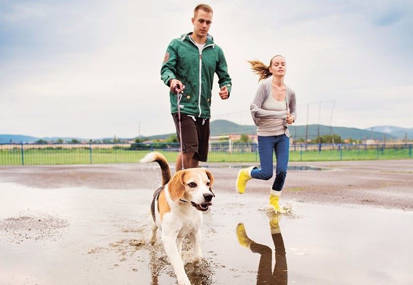 Бег и наушники: где притаилась угроза для слуха?