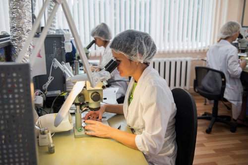 Производственный цикл:  от идеи до воплощения